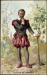 Portrait of Olivier de Serres (1539 - 1619), French Agronomist