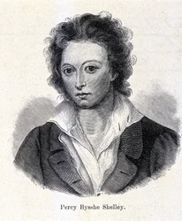 Portrait of Percy Bysshe Shelley, British Poet