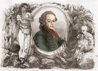 Portrait of Pierre Poivre, French Colonial Administrator and Agronomist