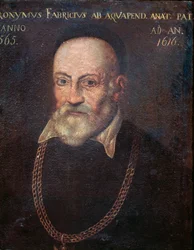 Portrait of Hieronymus Fabricius