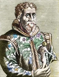 Portrait of the Italian painter Michelangelo Buonarroti known as Michelangelo