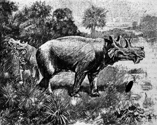 Prehistory: representation of a four-horned Uintatherium dinosaur