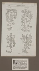 Printed page 1217 from 