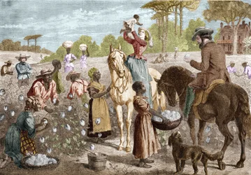 Recycled cotton from a house in the southern United States in 1864.