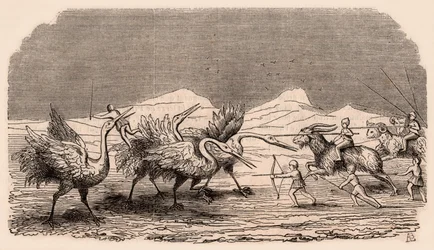 Representation of medieval tribes and animal species: group of Pygmies fighting cranes