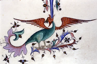 Representation of a dragon wing. Miniature from a 14th-century manuscript. Milan, Biblioteca Nazionale Braidense.