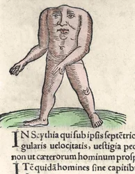 Representation of a member of the Blemmyi tribe in Nubia, described without a head, without a neck, and face on the trunk of Pliny the former. Engraving from 