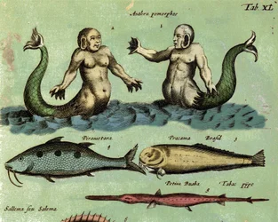 Representation of a Siren and a Triton. (detail) 17th century