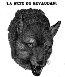 Representation of the Beast of Gévaudan