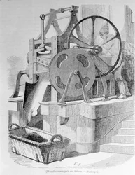 Royal Tobacco Factory: hash tobacco.