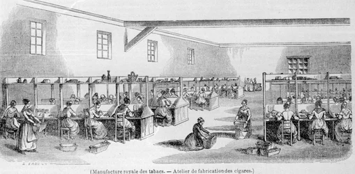 Royal Tobacco Manufacture: cigar manufacturing workshop. 19th century engraving.