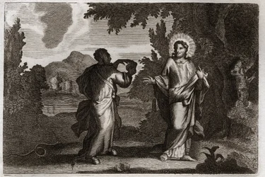 Royaumont Bible, New Testament: Jesus Christ in the desert. Jesus is driven into the desert. He fasts forty days and forty nights. He is tempted by the demon who invites him to turn stones into bread. Illustration from 1811.