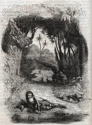 Ruggiero on the island of Alcina - 1851 engraving from the poem 