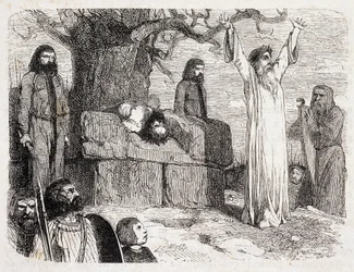 Human sacrifice by druids - in 