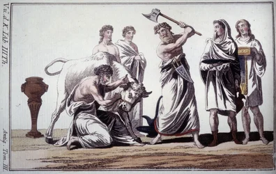 Sacrifice of a bull. Custom in Roman antiquity.
