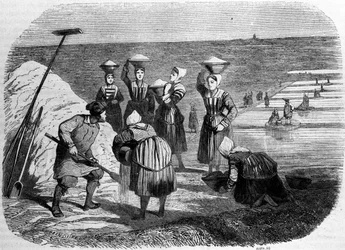 Salt production: women working in salt marshes. 19th century engraving