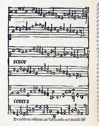 Sheet music page for Musicological studies and documents by Nicola Burzio