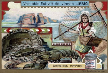 Shrimp and lobster, with a young fishing woman, carrying her basket and a large net - Liebig chromolithography