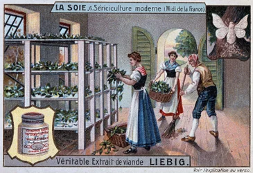 Silk: Silk Workshop in the South of France, Liebig Publicity, c. 1895