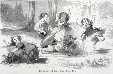 Sophie and her friends plant lilac - in The misfortunes of Sophie by the Countess of Ségur, Hachette