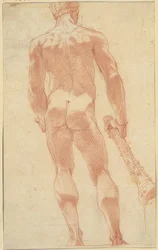 Standing Hercules from the Back