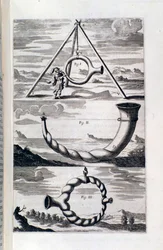 Study of phonology from Pronurghia nova