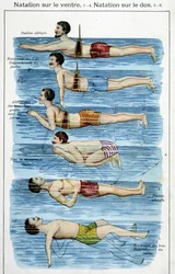 Swimming on the belly - in 