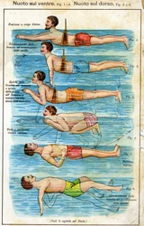Swimming on the Belly - in Bilz, Natural Medication, Late 19th Century