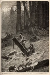 The author and his traveller, Mcdonald, descending the rapids on the Nittinaht River (Vancouver Island) on a makeshift raft. Engraving to illustrate the voyage and adventures in English Colombia, Vancouver Island and Alaska, by Frederick Whymper