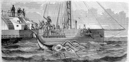 The first giant squid captured in 1861 by the French corvette Alecton. As the crew hoisted him aboard, he broke in half and disappeared to the bottom of the sea. Engraving from the end of the 19th century.
