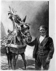 The harness of the donkey from the Sicilian tanks during traditional celebrations. Engraving of the 19th century
