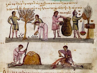 The Harvest of Olives, the Production of Honey and the Lamb Slaughters