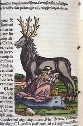 The reindeer trade after Historiae animalium by Konrad Gesner