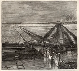 The salt marsh of Giraud in the Camargue, view taken from the service canal - engraving in 