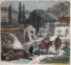 The Sawmill. 19th century illustration. Bianchetti Collection