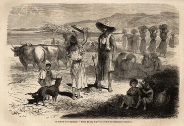 The Work of Harvesting, Harvesting and Depicking of Wheat, in Djurjura (Algeria); Women Sitting in Circles Hit the Epis with Round Mallets, Others Throw the Straw and Grains into the Wind with a Large Sieve, Then Sweeping the Soil Allows the Grain to Be Re