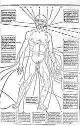 This picture shows the places of the body or practice bleeding depending on the pain. Treatise of Medicine by Gerolamo Cardano, Florence
