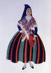 Traditional Bearn Maiden Costume