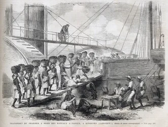 Transport of Coal on Board Steamships in Kingston - Engraving from 
