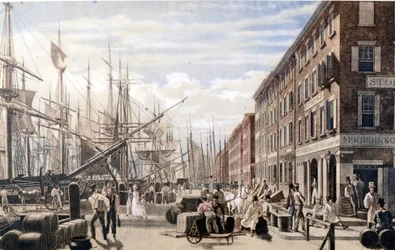 Unknown Image