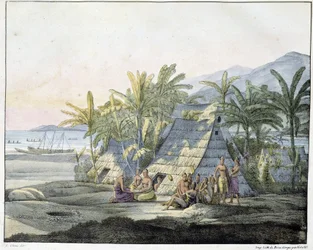 View in the Sandwich Islands - in Views and Landscapes of the Equinoxial Regions, Collected in a Journey Around the World, Early 19th Century