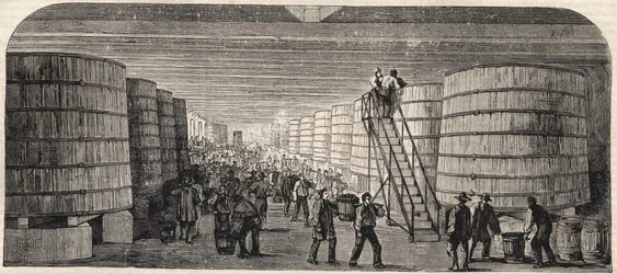 View of the Cellar at the Chateau - Lafitte in 1860