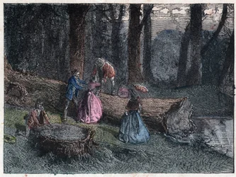 Walkers try to calculate the age of a dead oak by studying the tree