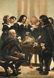 William Harvey (1578-1658) English physician demonstrating blood circulation in 1628