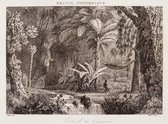 Engraving Depicting the French Colony of Guyana in South America 1850