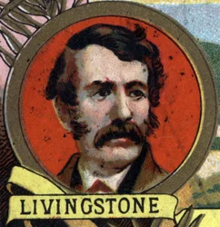 Portrait of David Livingstone (1813-1873) Scottish missionary and explorer. Chromolithography of the late 19th century