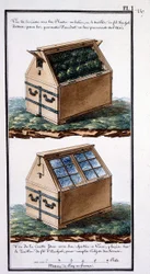 View of the Box with Packed Plants, and Archal Wire Mesh on Top: To Guarantee Them from Accident by Providing Air. View of the Body Same with Its Glass Frames, Placed on the Archal Wire Mesh