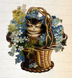 A cat in a basket of flowers. 19th century chromolithography.