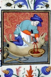 Allegorical representation of December. A butcher kills a pig. Miniature of a 14th century manuscript
