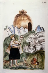An Indian shepherdess near her hut with her herd, from the book 